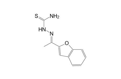 (1E)-1-(1-benzofuran-2-yl)ethanone thiosemicarbazone