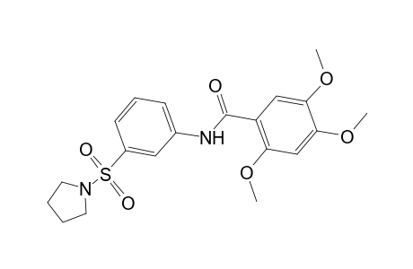 2,4,5-trimethoxy-N-[3-(pyrrolidine-1-sulfonyl)phenyl]benzamide