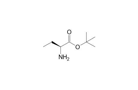 tert-Butyl 2-aminobutanoate