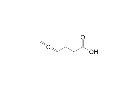4,5-Hexadienoic acid