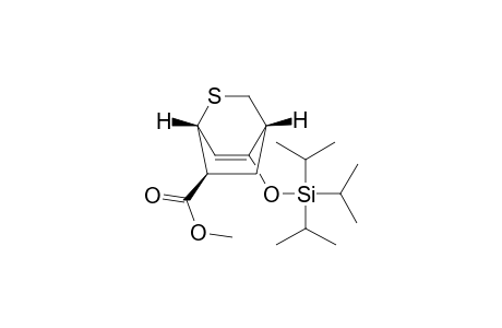 (1R*,4R*,6S*)-8-Triisopropylsilyloxy-2-thiabicyclo[2.2.2]oct-7-ene-6-carboxylic Acid Methyl Ester