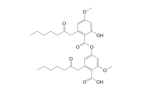 Benzoic acid, 2-hydroxy-4-methoxy-6-(2-oxoheptyl)-, 4-carboxy-3-methoxy-5-(2-oxoheptyl)phenyl ester