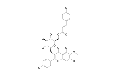 6-METHOXY-KAEMPFEROL-3-O-BETA-D-6''-(PARA-COUMAROYL)-GLUCOPYRANOSIDE