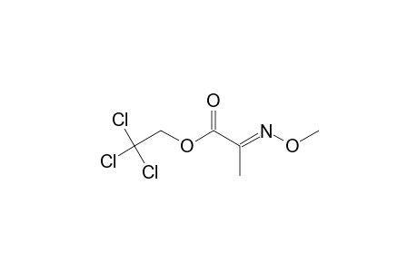 2',2',2'-TRICHLOROETHYL-2-(O-METHYLOXIME)-PYRUVATE
