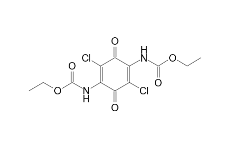 ethyl N-[2,5-bis(chloranyl)-4-(ethoxycarbonylamino)-3,6-bis(oxidanylidene)cyclohexa-1,4-dien-1-yl]carbamate