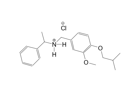 N-(4-isobutoxy-3-methoxybenzyl)-1-phenylethanaminium chloride