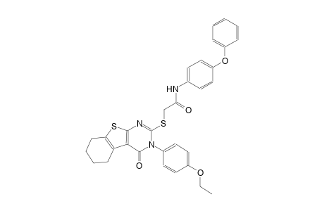 2-{[3-(4-ethoxyphenyl)-4-oxo-3,4,5,6,7,8-hexahydro[1]benzothieno[2,3-d]pyrimidin-2-yl]sulfanyl}-N-(4-phenoxyphenyl)acetamide