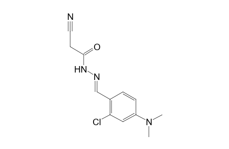 CYANOACETIC ACID, [2-CHLORO-4-(DIMETHYLAMINO)BENZYLIDENE]HYDRAZIDE