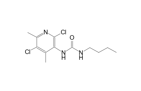 urea, N-butyl-N'-(2,5-dichloro-4,6-dimethyl-3-pyridinyl)-