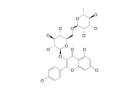 KAEMPFEROL-3-O-ALPHA-L-RHAMNOPYRANOSYL-(1->6)-BETA-D-GLUCOPYRANOSIDE