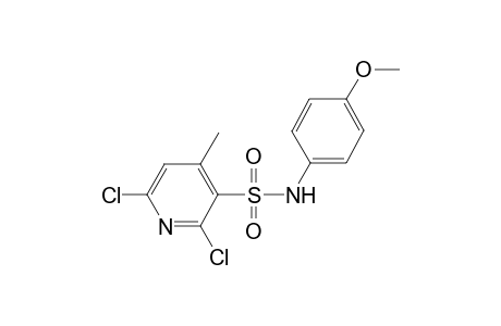 Pyridine-3-sulfonamide, 2,6-dichloro-N-(4-methoxyphenyl)-4-methyl-
