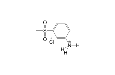 3-(methylsulfonyl)benzenaminium chloride