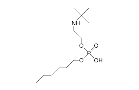 (2-tert-Butylamino-ethyl) hexyl phosphate
