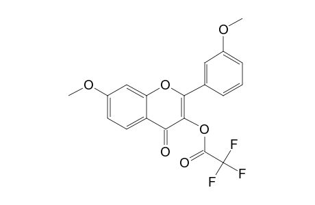 7,3'-Dimethoxy-3-hydroxyflavone, trifluoroacetate