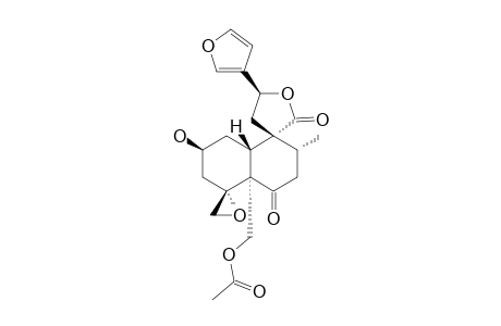 TEUMASSIN