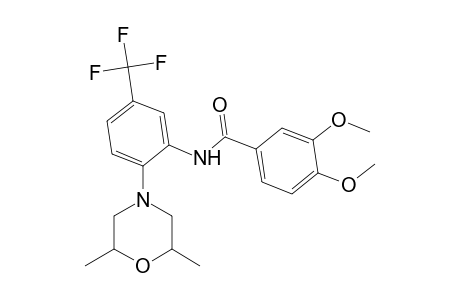 N-[2-(2,6-dimethylmorpholin-4-yl)-5-(trifluoromethyl)phenyl]-3,4-dimethoxybenzamide