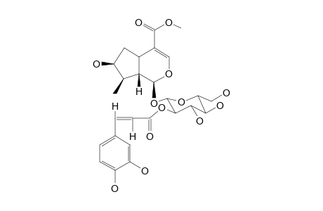 2'-CAFFEOYL-LOGANIN (trans)