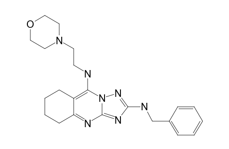 2-BENZYLAMINO-5-[2-(MORPHOLIN-4-YL)-ETHYL]-AMINO-6,7,8,9-TETRAHYDRO-1,2,4-TRIAZOLO-[5,1-B]-QUINAZOLINE