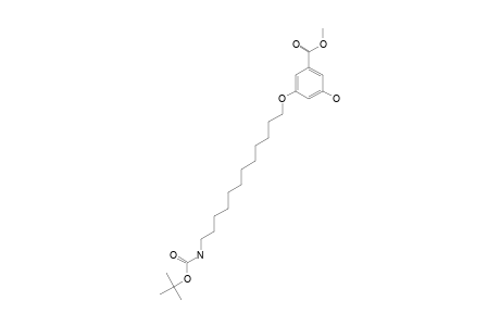3-[12-(tert-butoxycarbonylamino)dodecoxy]-5-hydroxy-benzoic acid methyl ester
