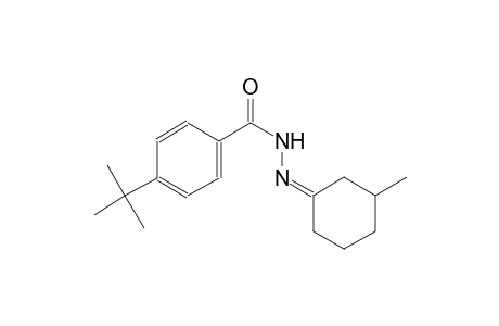 4-tert-butyl-N'-[(1Z)-3-methylcyclohexylidene]benzohydrazide