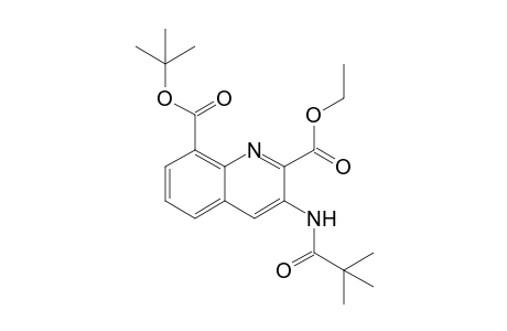 8-tert-Butyl 2-Ethyl 3-[(2,2-dimethylpropanoyl)amino]quinoline-2,8-dicarboxylate