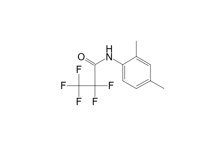 N-(2,4-dimethylphenyl)-2,2,3,3,3-pentafluoro-propanamide