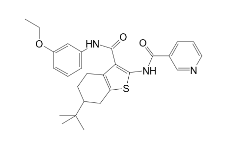 N-[6-tert-butyl-3-(3-ethoxy-phenylcarbamoyl)-4,5,6,7-tetrahydro-benzo[b]thiophen-2-yl]-nicotinamide