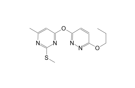 3-{[6-methyl-2-(methylsulfanyl)-4-pyrimidinyl]oxy}-6-propoxypyridazine