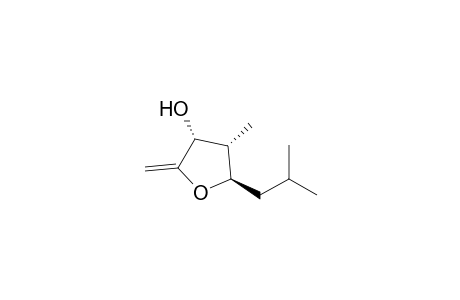(3R,4S,5R)-4-methyl-2-methylene-5-(2-methylpropyl)-3-oxolanol