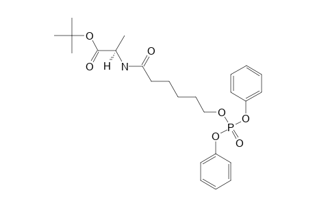 N-(2-S-PROPANOIC_ACID)-6-[(DIPHENOXYPHOSPHINYL)-OXY]-HEXANAMIDE_TERT.-BUTYLESTER