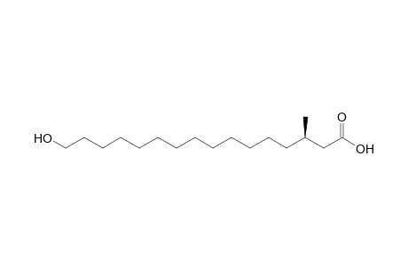 (R)-16-Hydroxy-3-methylhexadecanoic acid