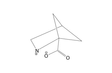 2-Azabicyclo[2.1.1]hexane-1-carboxylic acid