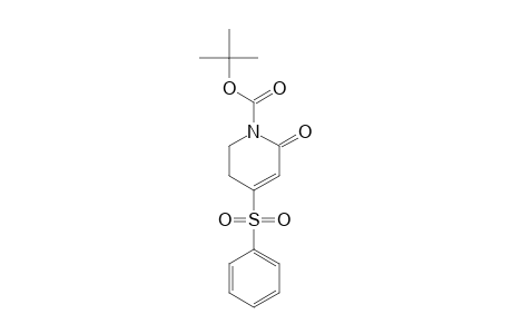 1-(tert-Butoxycarbonyl)-4-(phenylsulfonyl)-1,2,5,6-tetrahydro-2-pyridinone