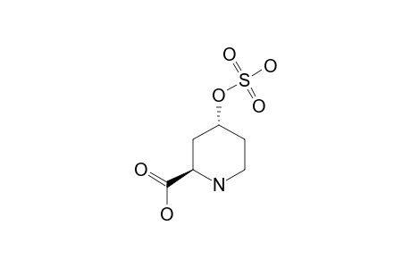 (2S,4S)-4-SULFOOXYPIPERIDINE-2-CARBOXYLIC-ACID