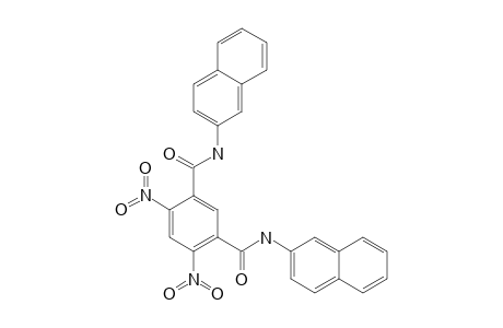 N1,N3-DI-(NAPHTHALEN-2-YL)-4,6-DINITROBENZENE-1,3-DIAMIDE