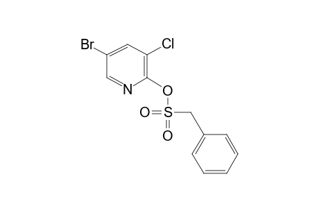5-Bromo-3-chloro-2-pyridinyl phenylmethanesulfonate