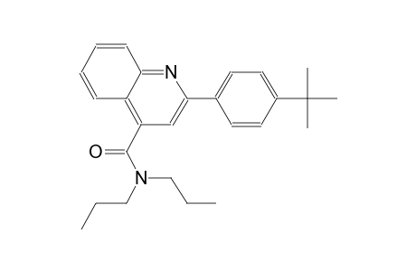 2-(4-tert-butylphenyl)-N,N-dipropyl-4-quinolinecarboxamide