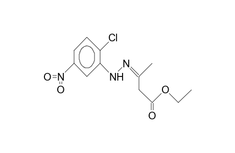 3-(2-Chloro-5-nitro-syn-phenylhydrazono)-butanoic acid, ethyl ester