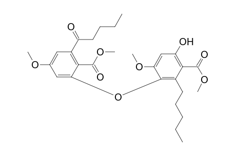 Lobaric acid dimethylated dervative