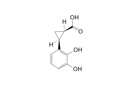 (1R,2S)-2-(2,3-Dihydroxyphenyl)cyclopropane-1-carboxylic acid