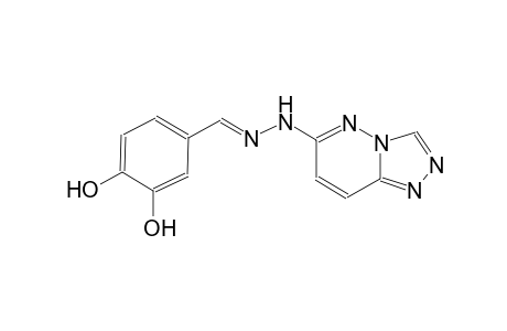 3,4-dihydroxybenzaldehyde [1,2,4]triazolo[4,3-b]pyridazin-6-ylhydrazone