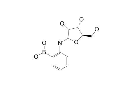 [2-[N-(D-RIBOFURANOSYL)-AMINO]-PHENYL]-BORONIC-ACID