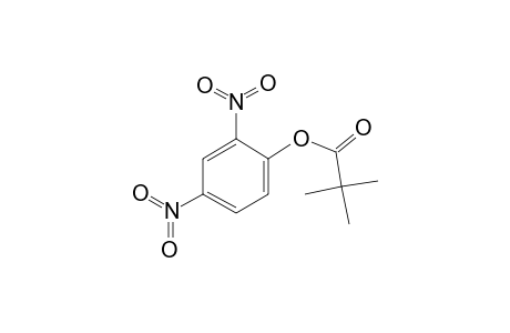 2,4-Dinitrophenyl pivalate