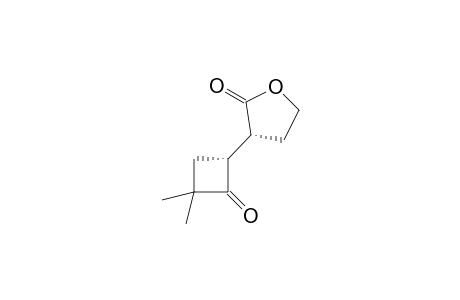 (3R)-3-[(1R)-2-keto-3,3-dimethyl-cyclobutyl]tetrahydrofuran-2-one