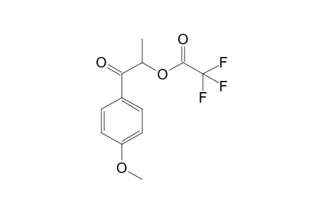 2-Hydroxy-1-(4-methoxyphenyl)propan-1-one TFA