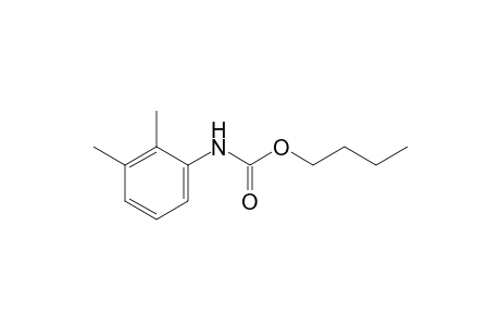 2,3-dimethylcarbanilic acid, butyl ester