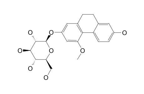 SHANCIGUSIN-G;7-HYDROXY-4-METHOXY-9,10-DIHYDROPHENANTHRENE-2-O-BETA-D-GLUCOPYRANOSIDE