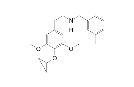 CP N-3-methylbenzyl
