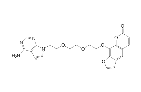 1-(Psoralen-8-yloxy)-8-(adenin-9-yl)-3,6-dioxaoctane