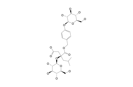 DACTYLORHIN-E;(2R)-2-BETA-D-GLUCOPYRANOSYLOXY-2-(2-METHYLPROPYL)-BUTANEDIOIC-ACID-1-(4-BETA-D-GLUCOPYRANOSYLOXYBENZYL)-ESTER